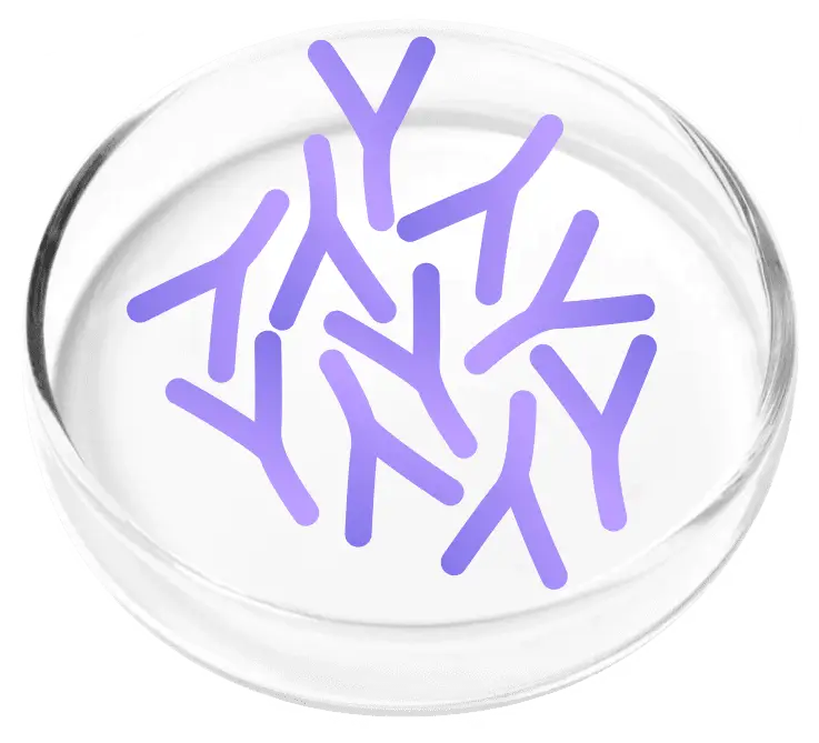 Lactobacillus plantarum probiotic in FemiCore supplement